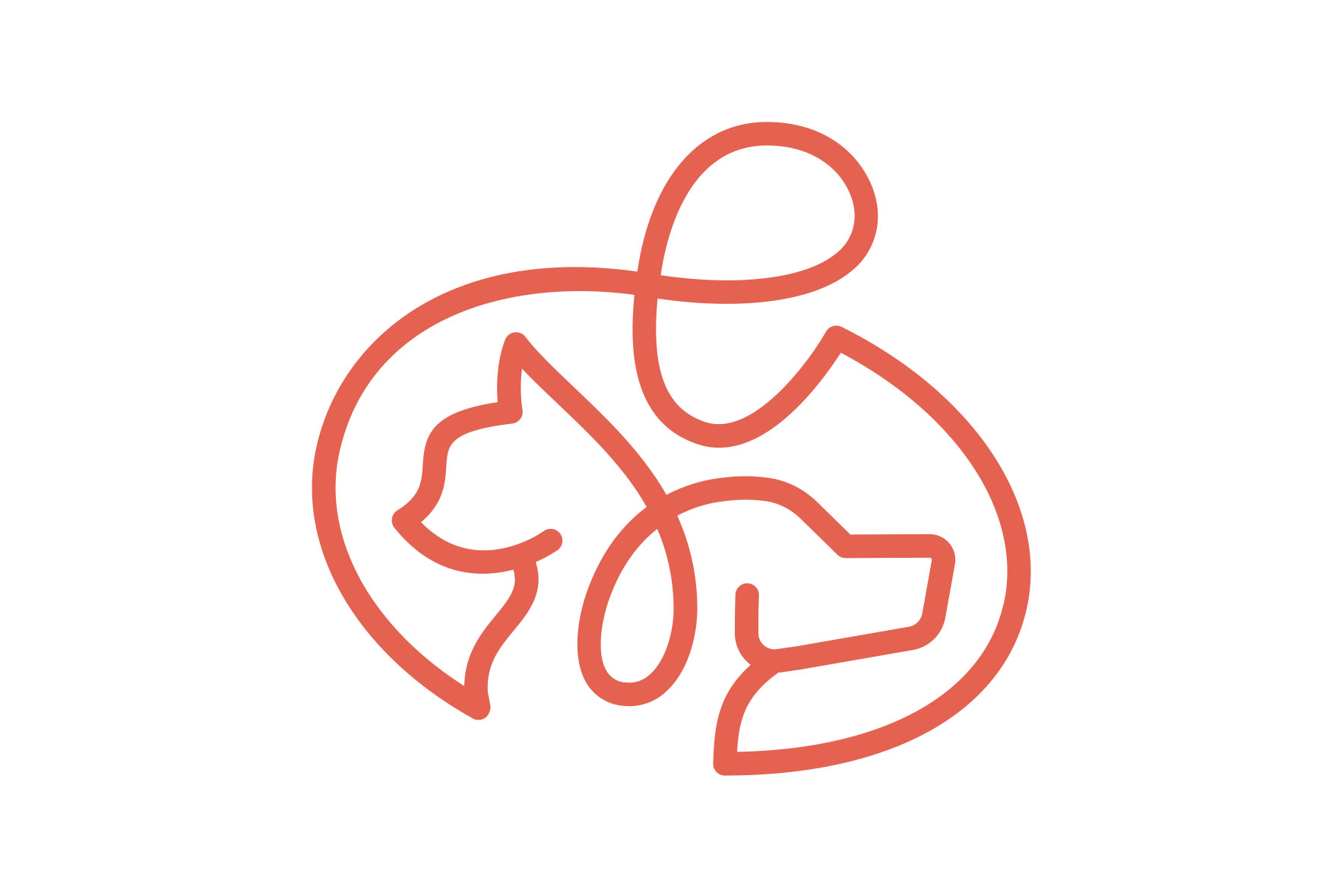 About Grandview Animal Hospital in Stoney Creek